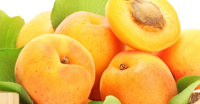 Benefits Of Apricot