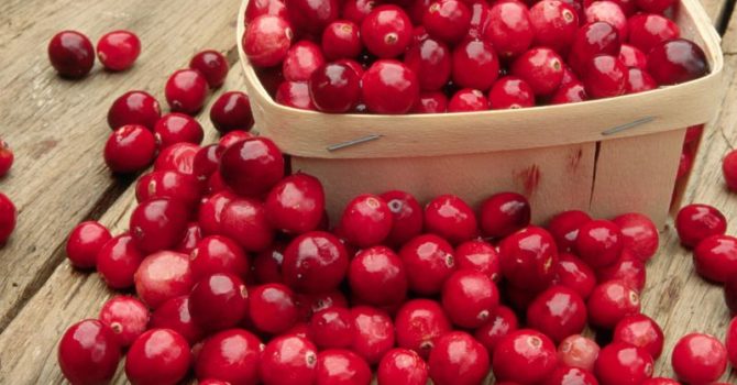Benefits Of Cranberry