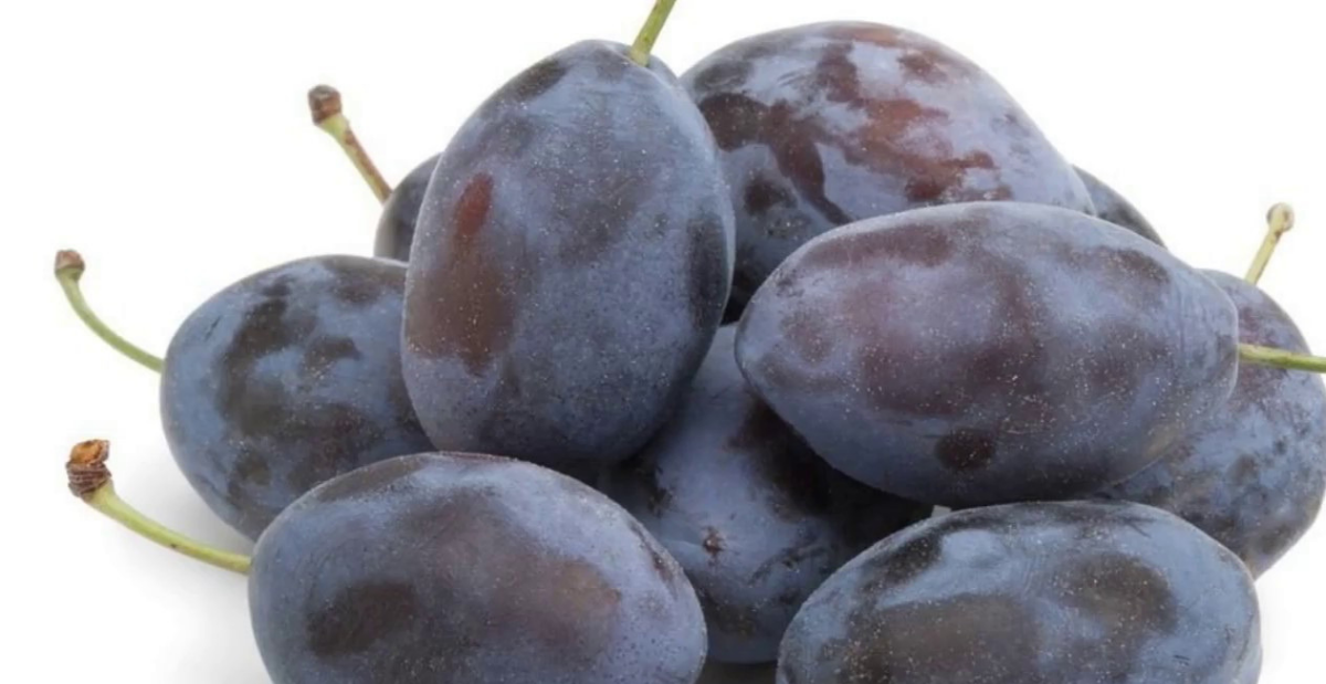 Benefits Of Damson Hygienic Food